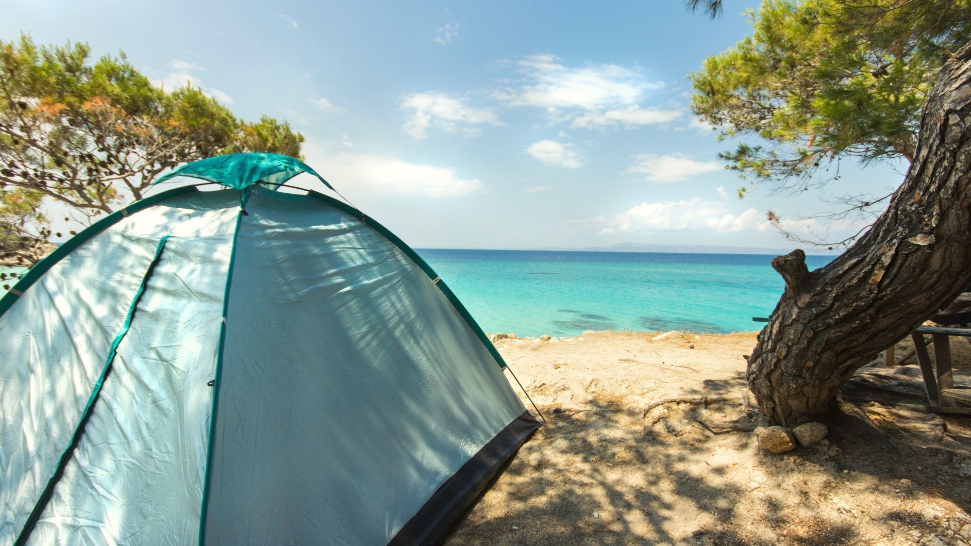 seashore campsites review